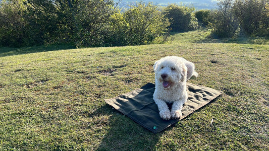 SUSSEX OUTDOORS- LARGE GROUND CLOTH available to order