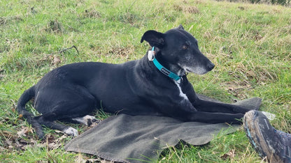 SUSSEX OUTDOORS- LARGE GROUND CLOTH available to order