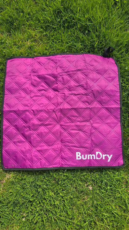 BumDry- waterproof sit pad - Pink